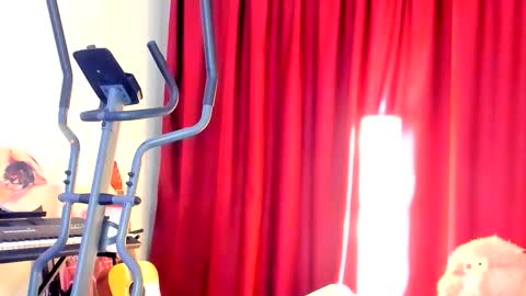 Ally    STREAMING ON TWITCH NOW Check my Twitter for updates online show from October 2, 2025, 2:51 am