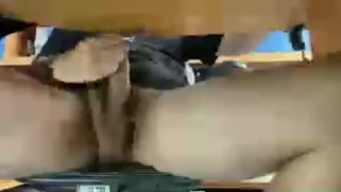 thecamenjoyer24 online show from June 12, 2026, 12:26 pm