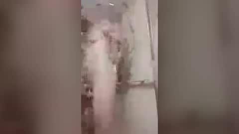 thedailyshower online show from July 6, 2026, 3:25 am