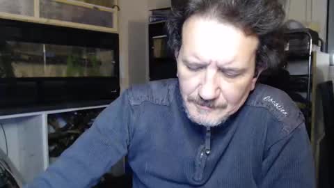 Green online show from December 13, 2025, 9:31 pm