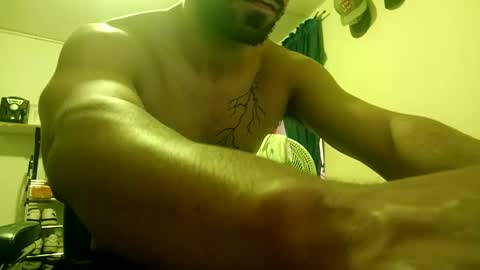 thehousedog online show from February 19, 2025, 6:32 pm