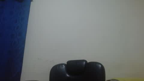 thehousedog online show from April 28, 2026, 11:37 am