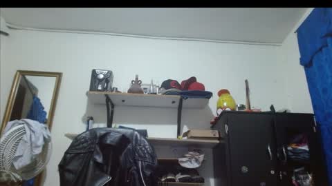 thehousedog online show from May 3, 2026, 8:37 pm