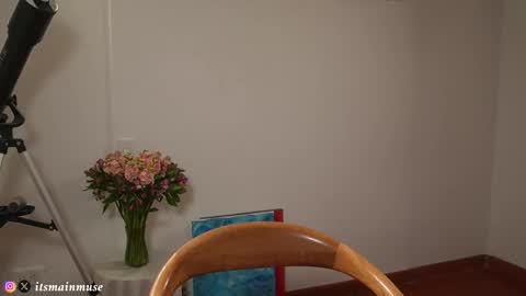 Snapshot of theirismuse chatting on March 17, 2026, 11:08 pm Iris online show from March 17, 2026, 11:08 pm