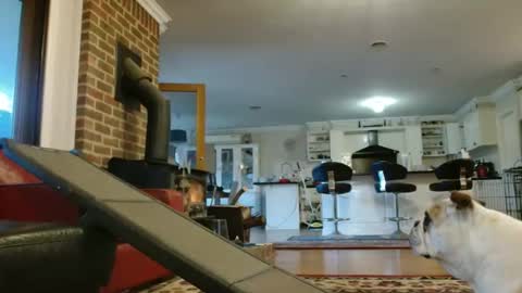 therealkurva4u online show from September 25, 2025, 8:07 am