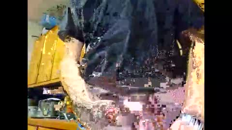 therizzler_1_of_1 online show from October 22, 2025, 4:35 am