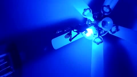 Thickamber online show from February 5, 2026, 12:21 pm