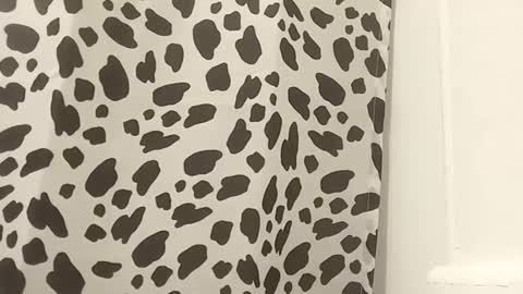 thuzi0n online show from October 25, 2025, 9:17 am