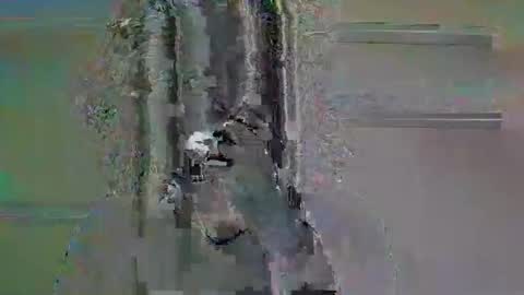 Snapshot of tifa_lockheart chatting on April 11, 2026, 11:03 am tifa_lockheart online show from April 11, 2026, 11:03 am