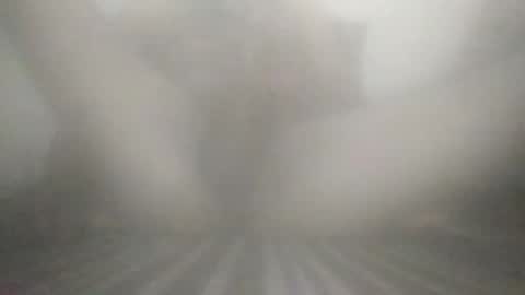 tiger005588 online show from December 13, 2025, 7:53 pm