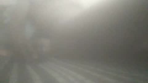 tiger005588 online show from December 14, 2025, 4:01 pm