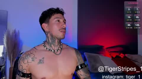 Snapshot of tigerstripes_ chatting on February 2, 2025, 10:28 pm Chris online show from February 2, 2025, 10:28 pm