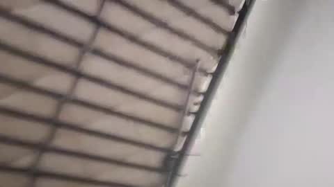 timmy808808 online show from January 3, 2025, 9:25 am