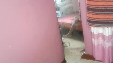 tin_love1 online show from February 18, 2026, 7:04 am