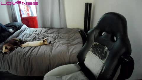 Snapshot of tinaricci chatting on January 22, 2025, 7:45 pm Tina online show from January 22, 2025, 7:45 pm