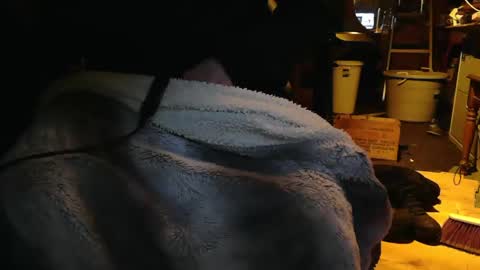 tinkertrain420 online show from December 2, 2024, 9:56 am