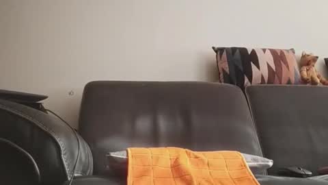 tinydick online show from June 11, 2026, 7:17 am