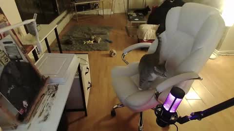 Snapshot of tinykylie chatting on January 30, 2025, 8:32 am stage Kylie Sinner brand CLITBAIT online show from January 30, 2025, 8:32 am