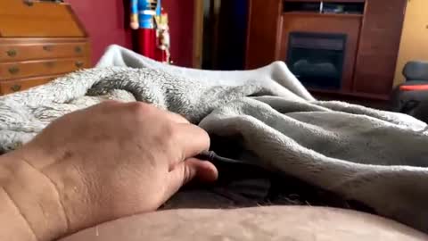 tittiemilk online show from February 22, 2025, 9:37 pm