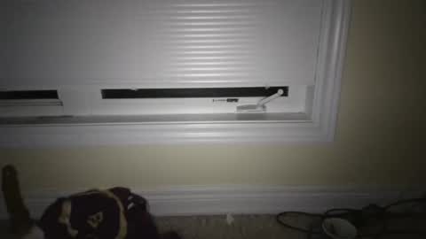 tj526316275 online show from April 23, 2026, 6:47 am