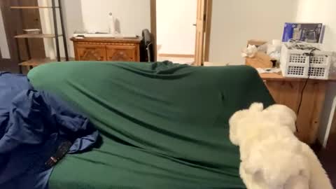 Snapshot of tjfemboi5641 chatting on October 20, 2025, 11:54 am tjfemboi5641 online show from October 20, 2025, 11:54 am