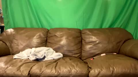 Snapshot of tjfemboi5641 chatting on October 23, 2025, 10:36 am tjfemboi5641 online show from October 23, 2025, 10:36 am