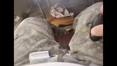 Snapshot of tjllagwbggrr chatting on February 3, 2026, 5:16 am tjllagwbggrr online show from February 3, 2026, 5:16 am