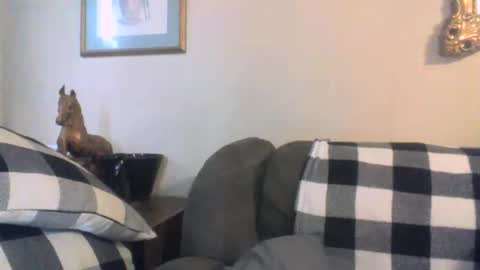 Vols online show from January 11, 2025, 6:23 pm