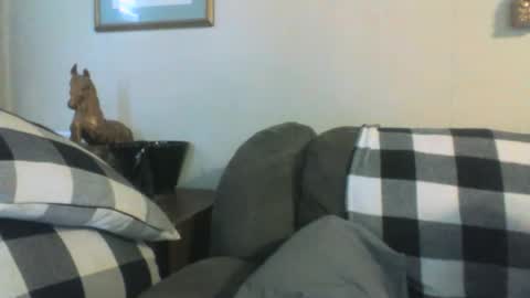 Vols online show from January 12, 2025, 8:14 pm
