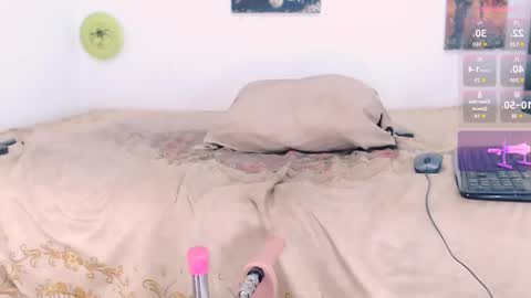 Snapshot of toadboys chatting on September 18, 2025, 8:27 am David online show from September 18, 2025, 8:27 am