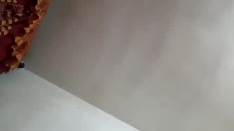 tobe557337 online show from January 31, 2025, 8:43 am