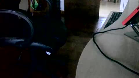 Tobiko online show from November 15, 2025, 3:30 pm