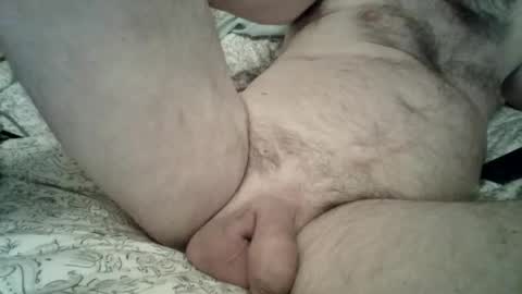 Snapshot of toddbells chatting on February 13, 2026, 3:19 pm toddbells online show from February 13, 2026, 3:19 pm