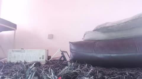   Thomas    online show from February 26, 2026, 6:07 pm