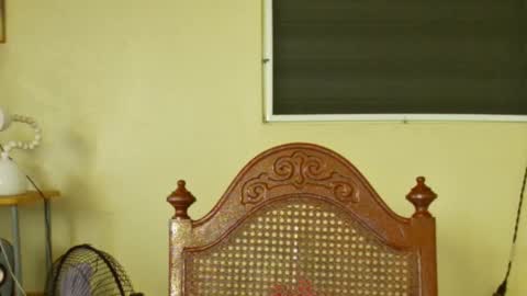 Snapshot of toni2814 chatting on February 3, 2025, 12:25 pm Antonio online show from February 3, 2025, 12:25 pm