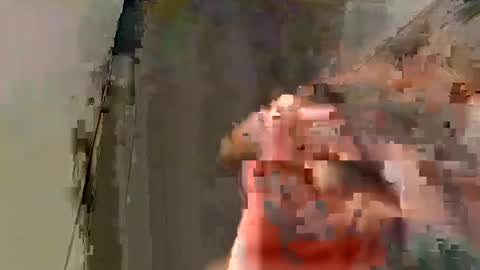 Tony 1019 online show from January 24, 2025, 10:21 am