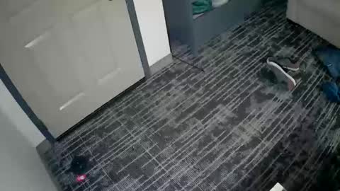 toomuchsmoke online show from October 3, 2025, 3:58 am