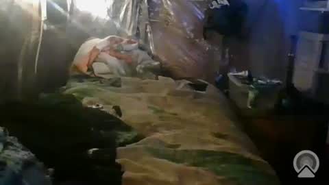 tootall1991420 online show from October 26, 2025, 1:06 pm