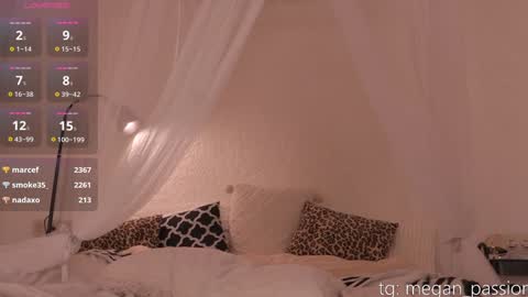 Im MeganLovense on Ill be online  1700 UTC online show from December 18, 2024, 8:25 pm