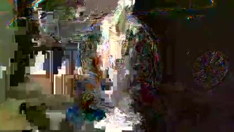 SagMeOreduceMe online show from May 7, 2026, 7:47 am