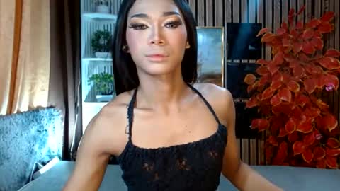 toptrans venice online show from February 22, 2026, 3:07 am