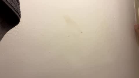 Snapshot of toronto5656 chatting on January 31, 2025, 6:46 am toronto5656 online show from January 31, 2025, 6:46 am