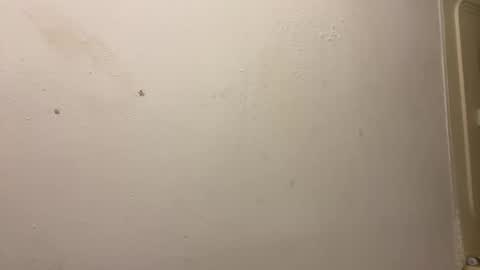 Snapshot of toronto5656 chatting on March 3, 2025, 3:31 pm toronto5656 online show from March 3, 2025, 3:31 pm