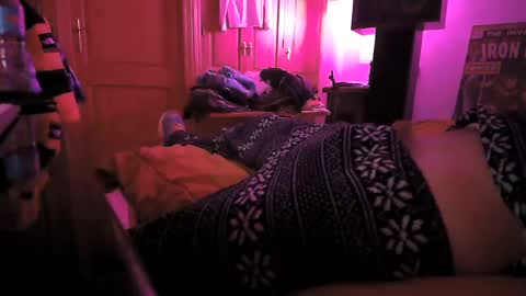 Torosko online show from March 8, 2025, 6:47 pm