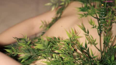 Snapshot of toshimori chatting on September 21, 2025, 1:02 pm Toshi online show from September 21, 2025, 1:02 pm