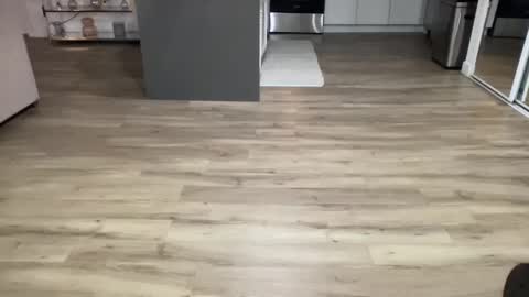 ASH online show from February 8, 2025, 4:36 am