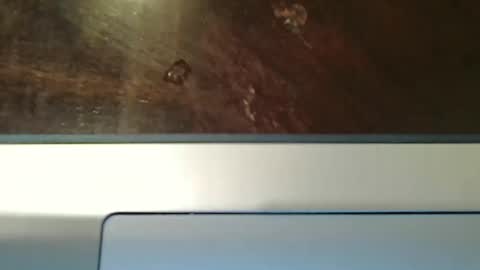 totxxx335 online show from December 15, 2025, 8:57 pm