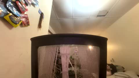 Snapshot of tracy227 chatting on November 9, 2025, 10:41 pm tracy227 online show from November 9, 2025, 10:41 pm