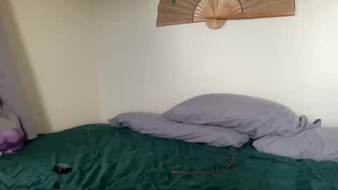 DD online show from April 14, 2026, 1:00 am