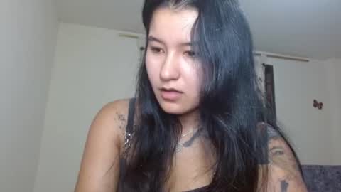 trebol_4 online show from June 11, 2026, 3:54 pm